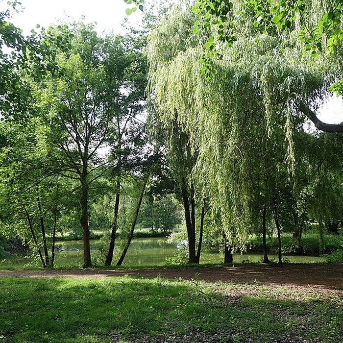 Photo de Château de Bernicourt
