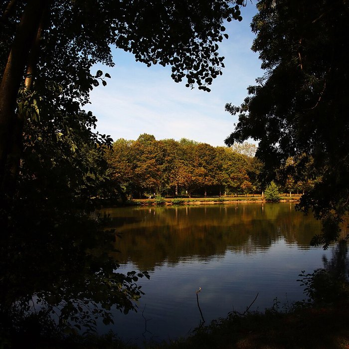 Photo de Château de Bernicourt