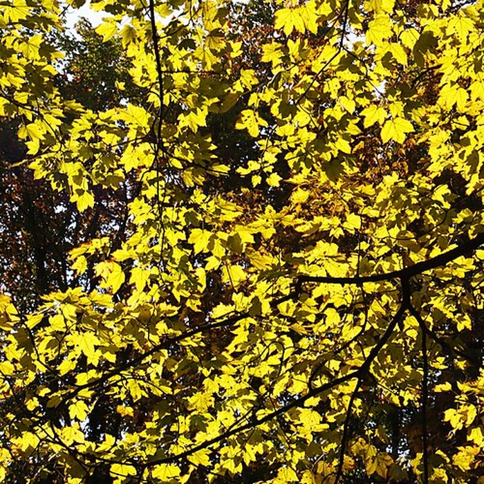 Photo de Château de Bernicourt