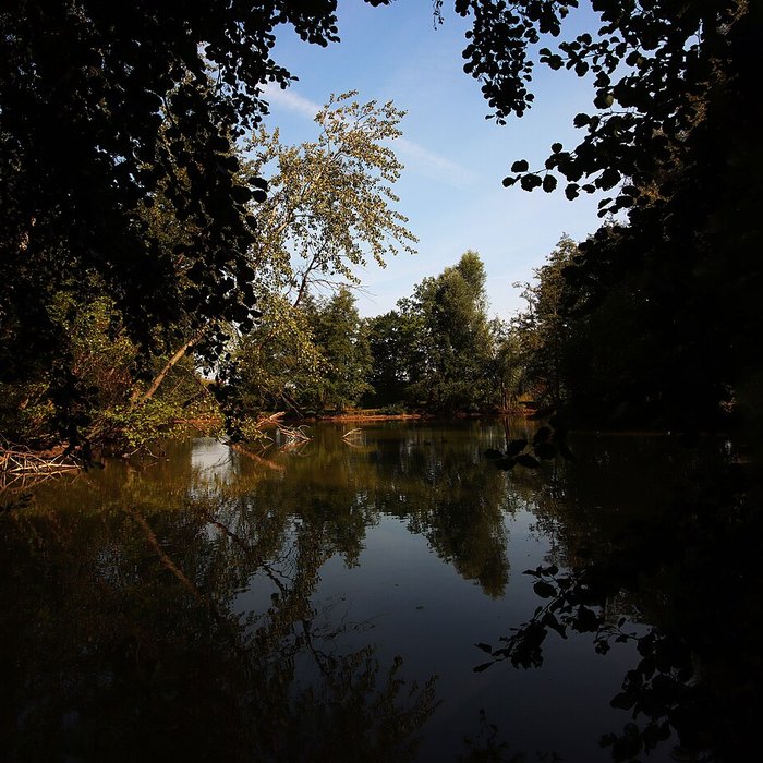 Photo de Château de Bernicourt