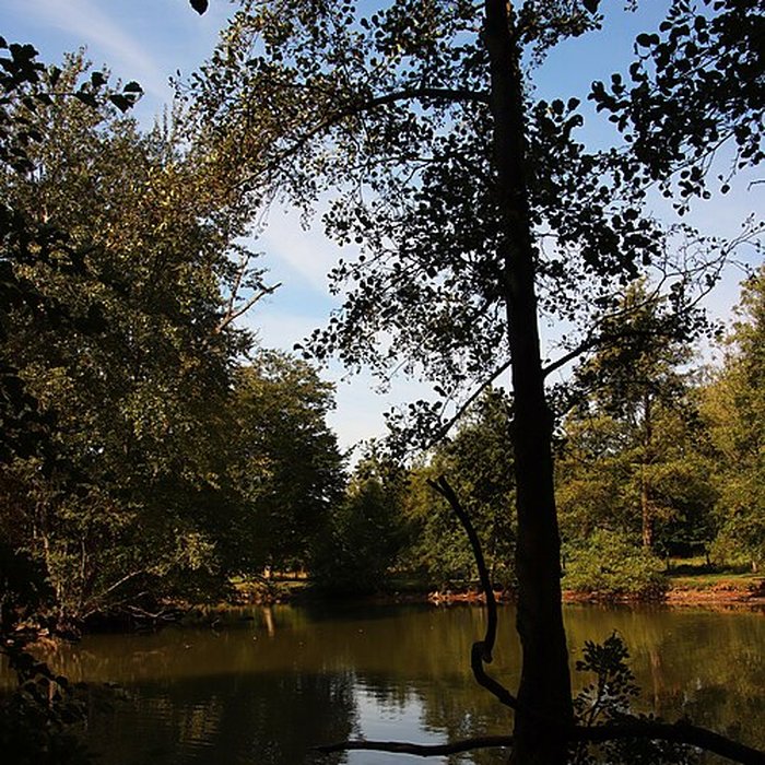Photo de Château de Bernicourt