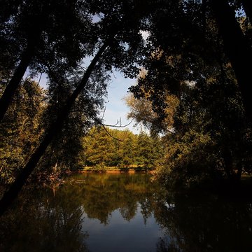 Château de Bernicourt