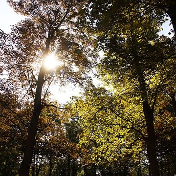 Château de Bernicourt
