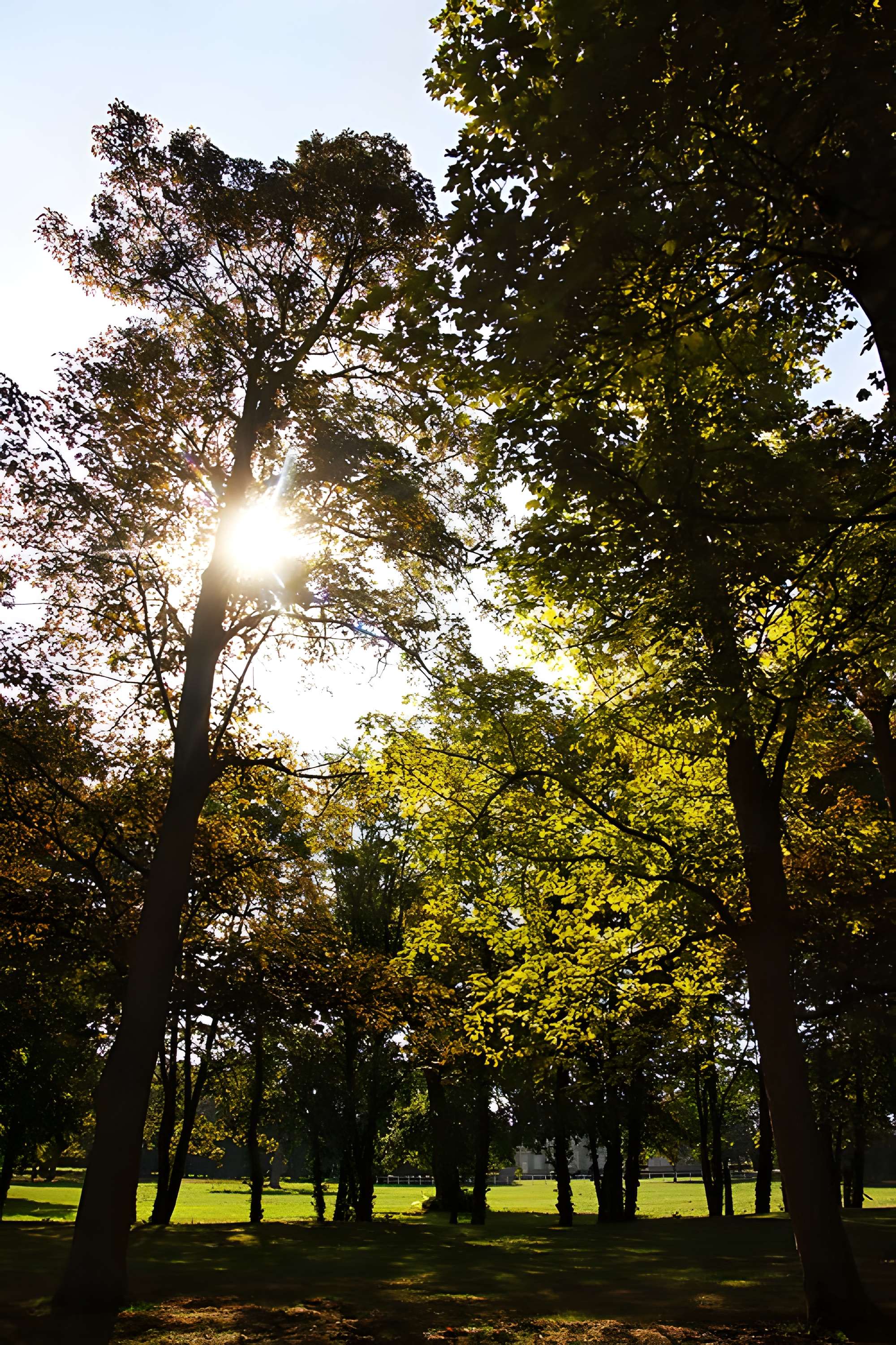 Château de Bernicourt