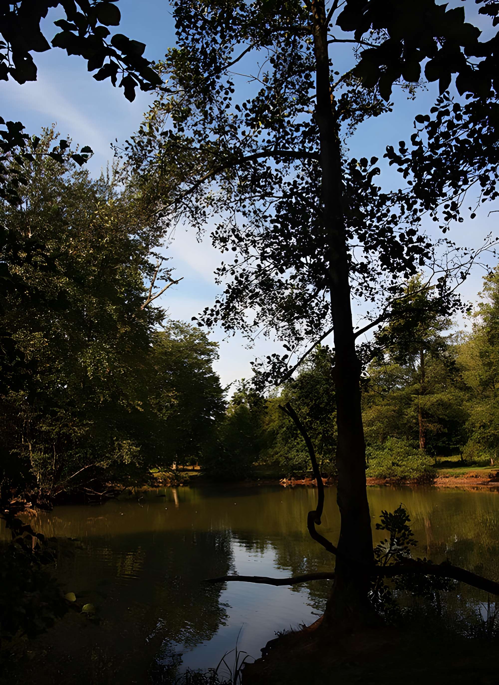 Château de Bernicourt