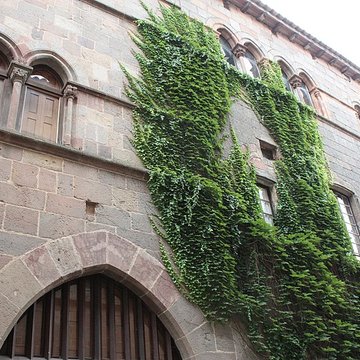 Maison Ladevèze à Cordes-sur-Ciel