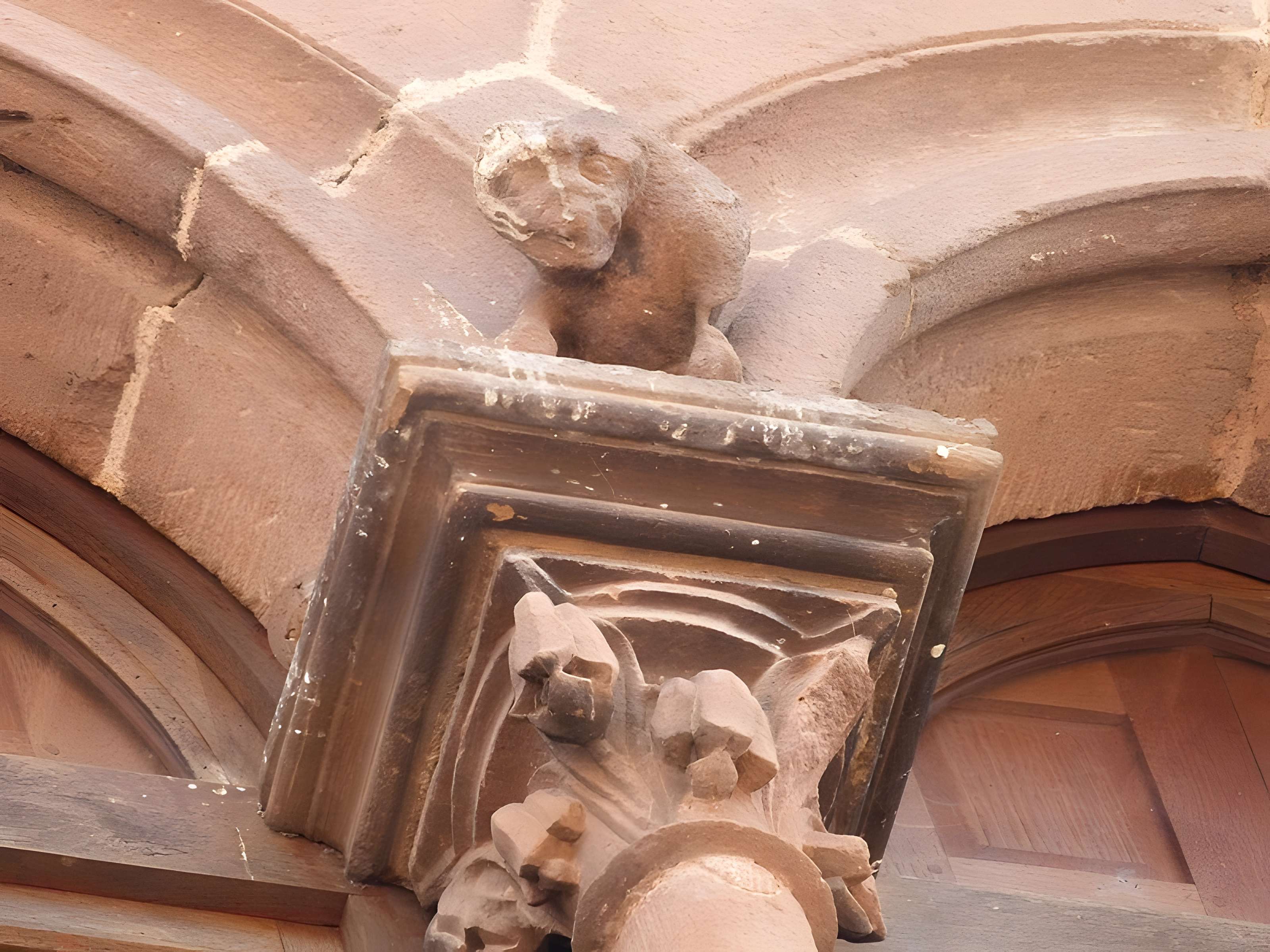 Maison Ladevèze à Cordes-sur-Ciel