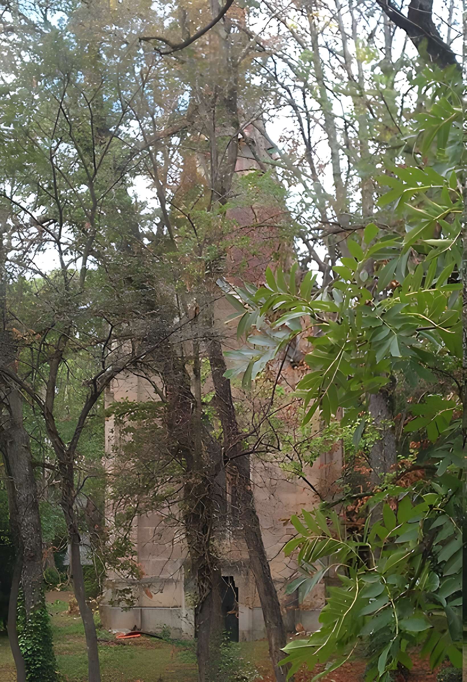 Maison Lardaillé à Castres 