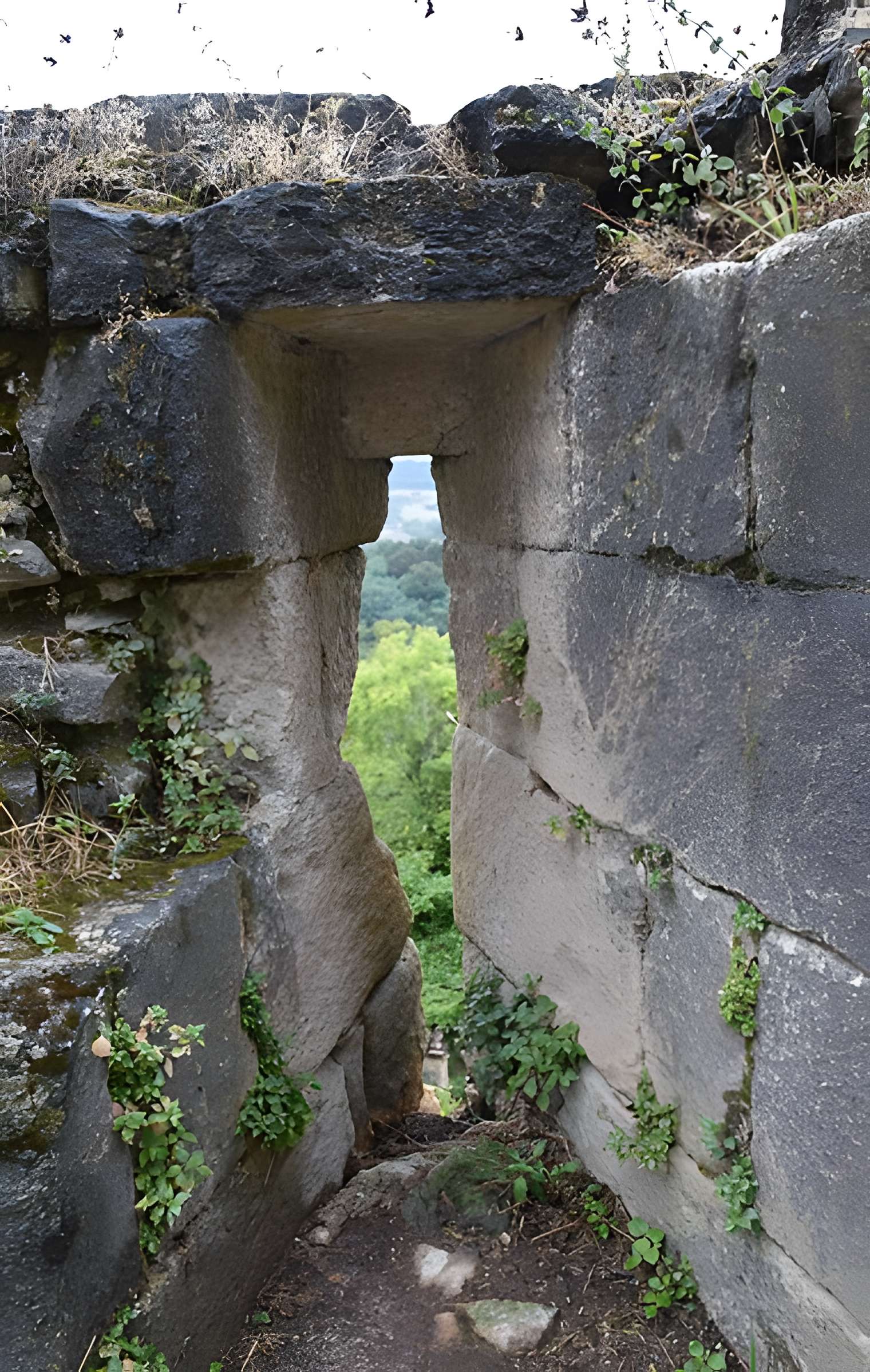 Maison Le Castelet à Domme