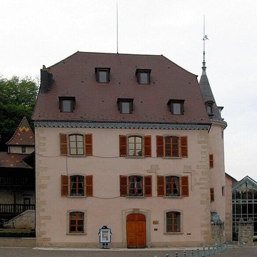 Maison Lourdel à Delle