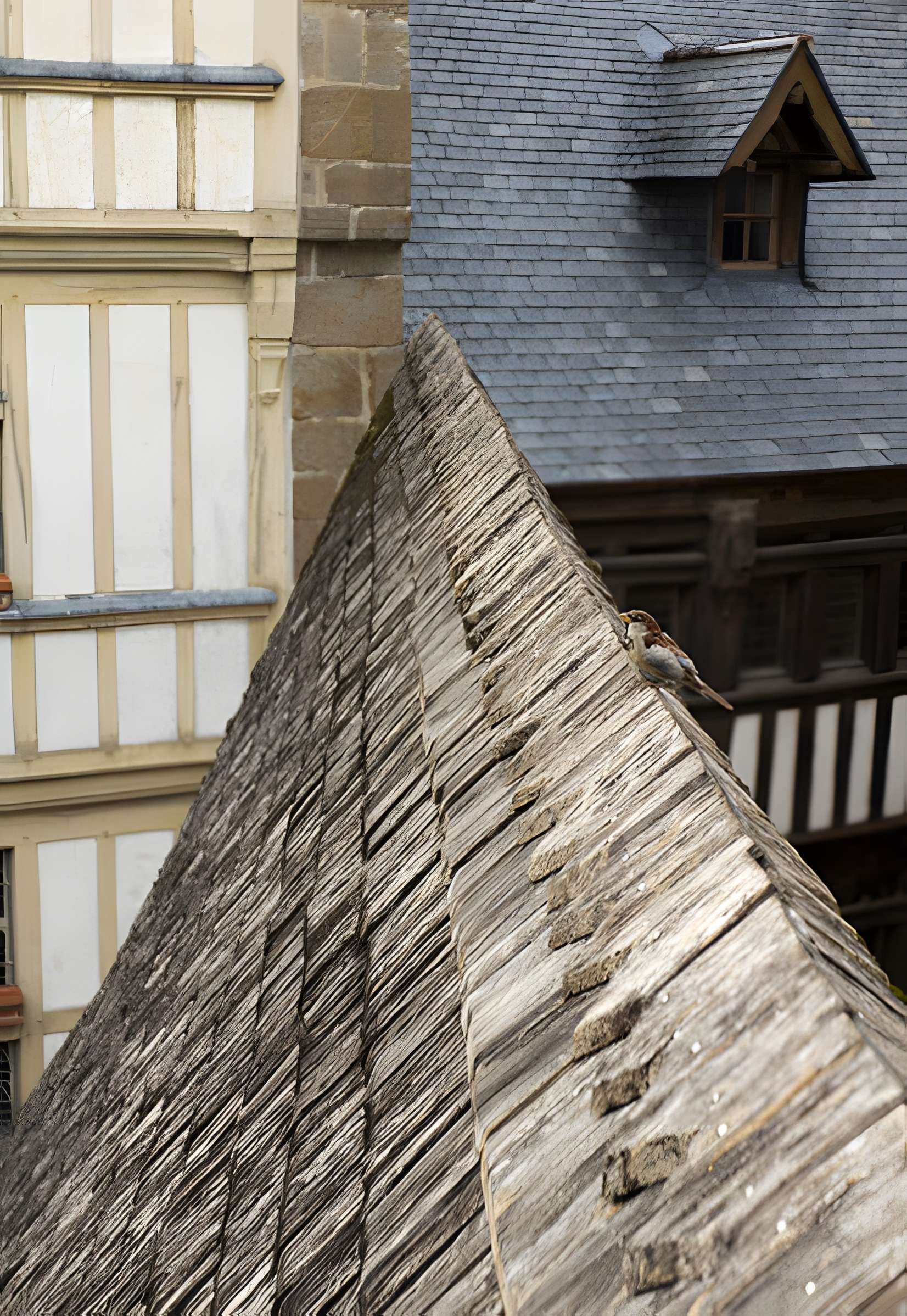 Maison Piquerel au Mont-Saint-Michel