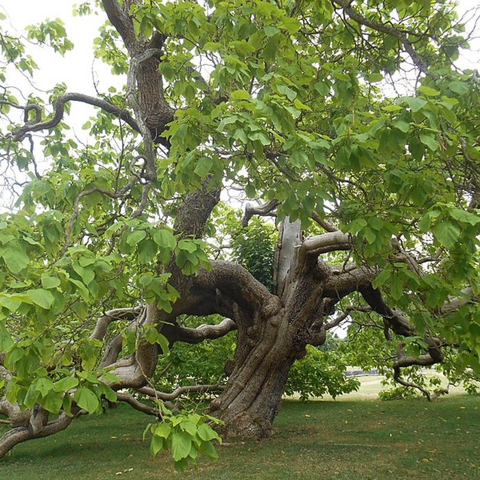 Photo de Château de Bizy à Vernon
