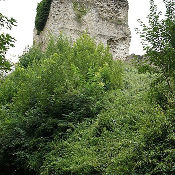 Photo de Château de Blâmont