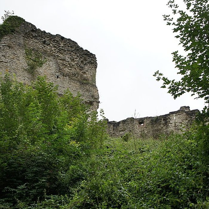 Photo de Château de Blâmont