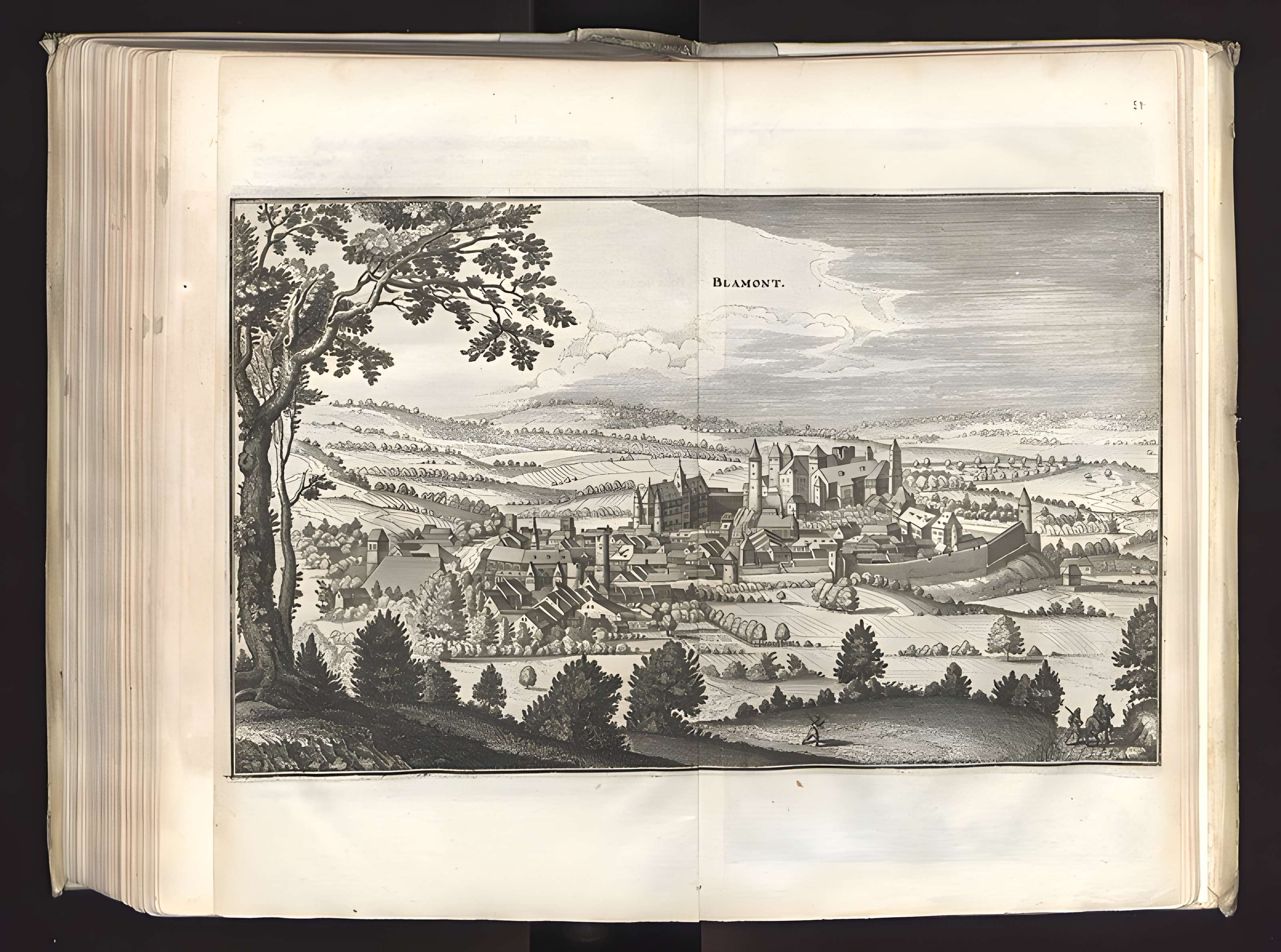 Château de Blâmont 