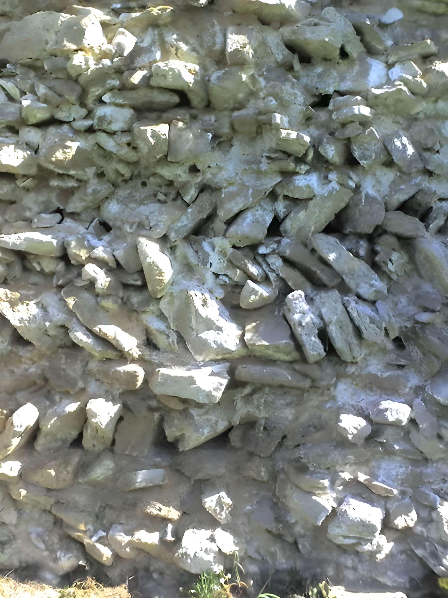 Château de Blâmont 