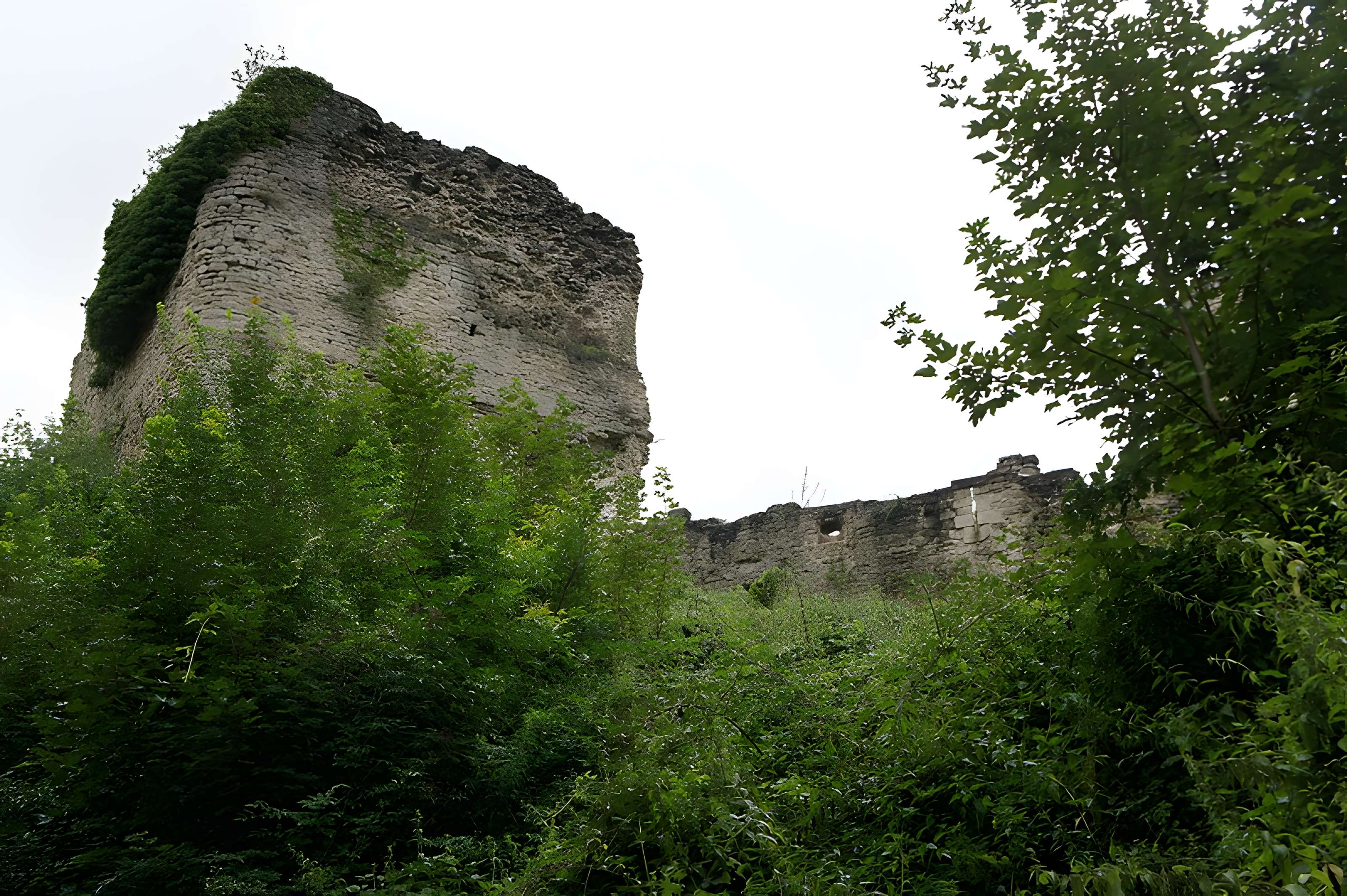 Château de Blâmont 
