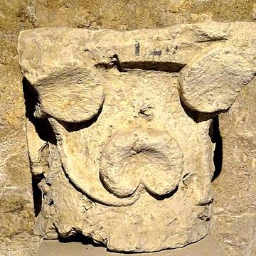 Maison romane, 12 Rue du Palais à Provins