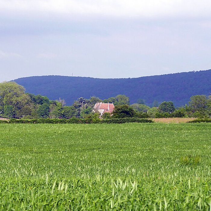 Photo de Château de Bonnay