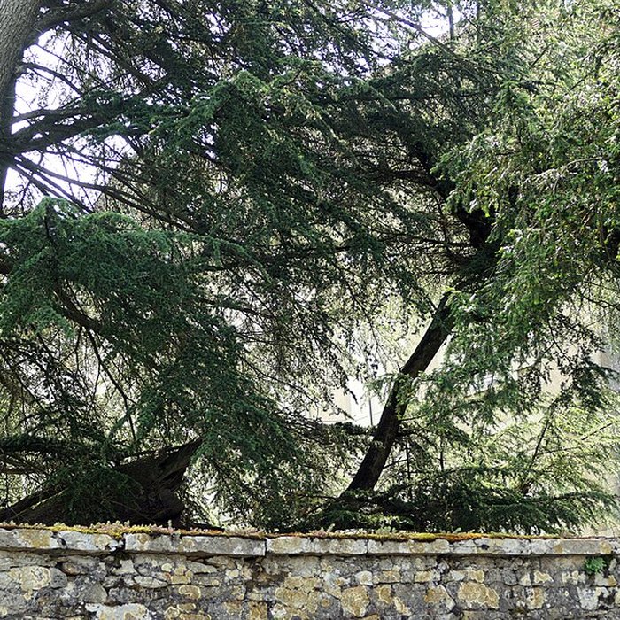Photo de Château de Bonnay
