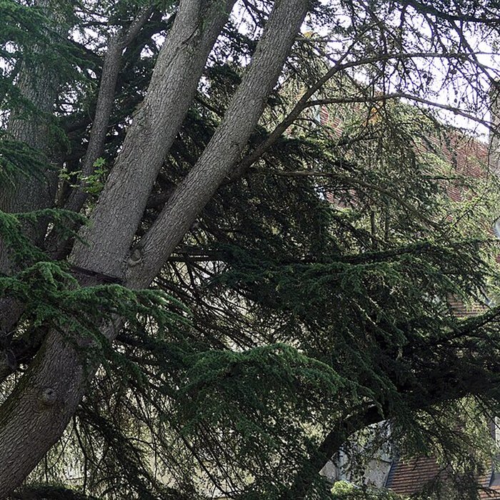 Photo de Château de Bonnay