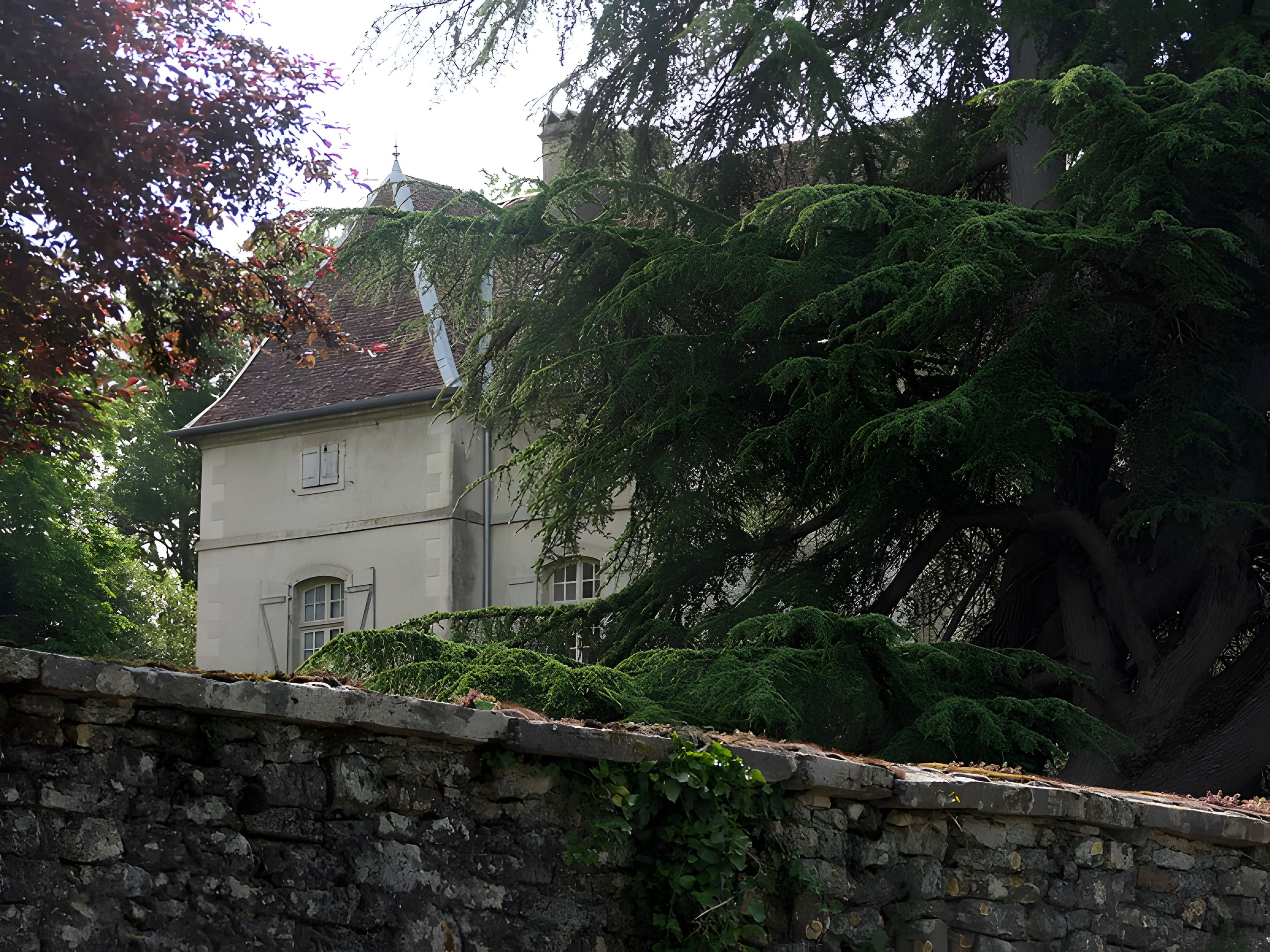 Château de Bonnay