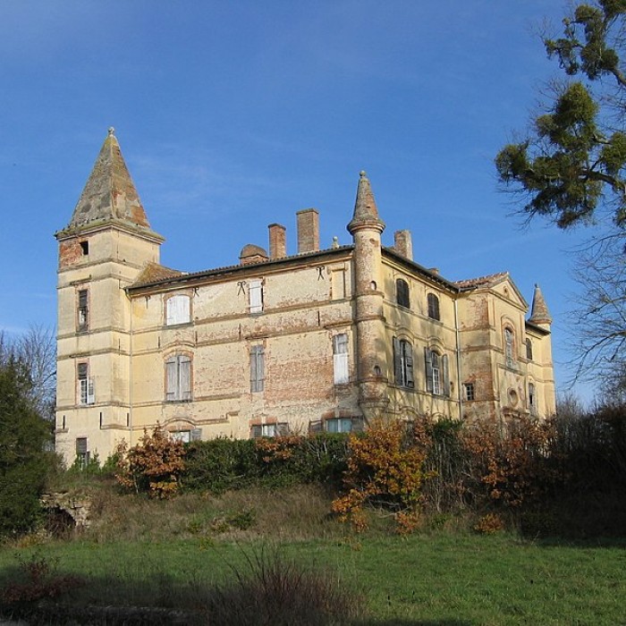 Photo de Château de Bonrepos