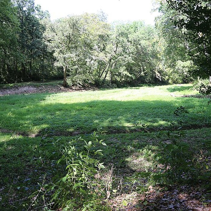 Photo de Château de Bonrepos