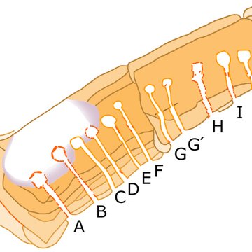 Cairn de Barnenez à Plouezoch