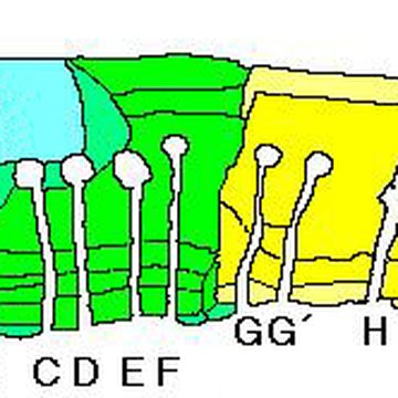 Cairn de Barnenez à Plouezoch