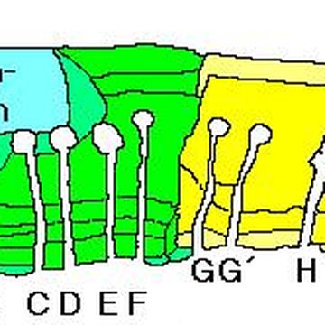 Cairn de Barnenez à Plouezoch