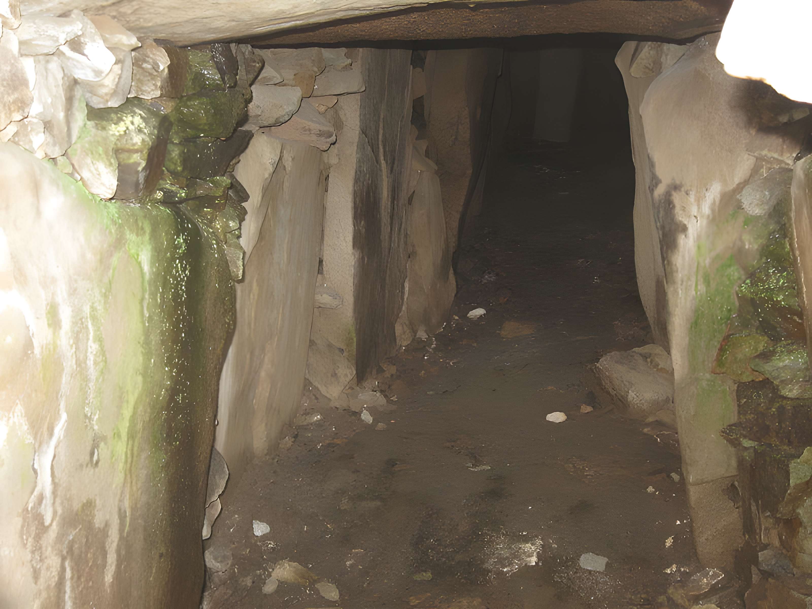 Cairn de Barnenez à Plouezoc'h