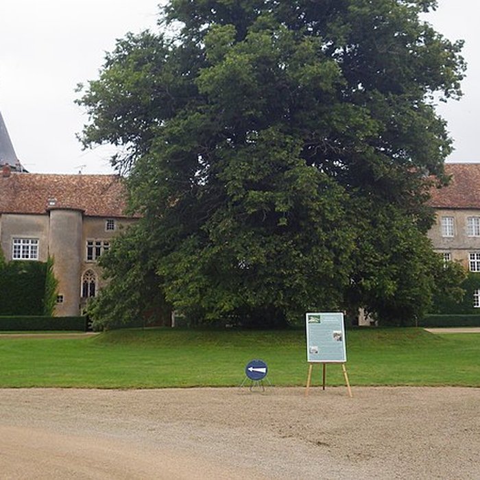 Photo de Château de Bourlémont