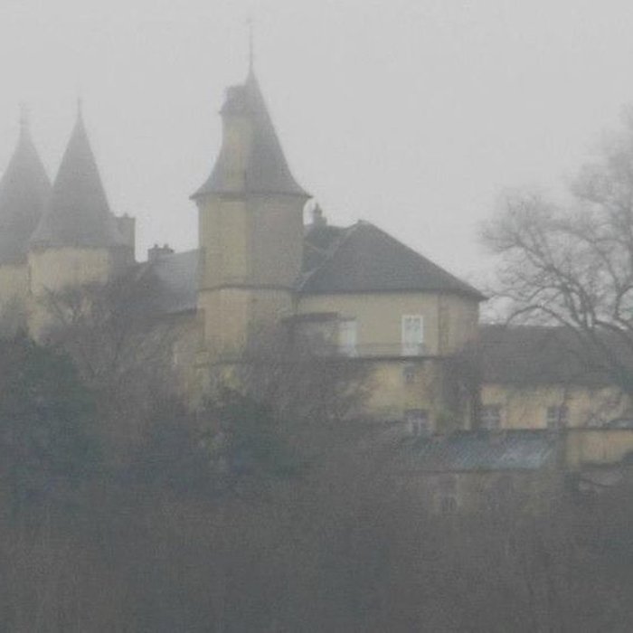 Photo de Château de Bourlémont
