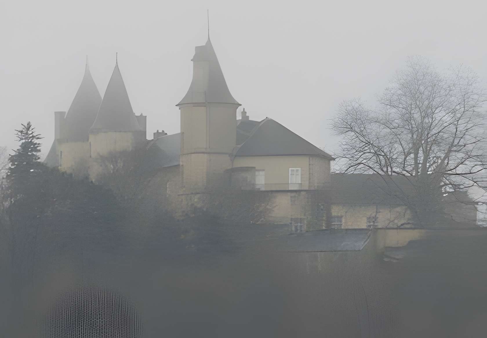 Château de Bourlémont 