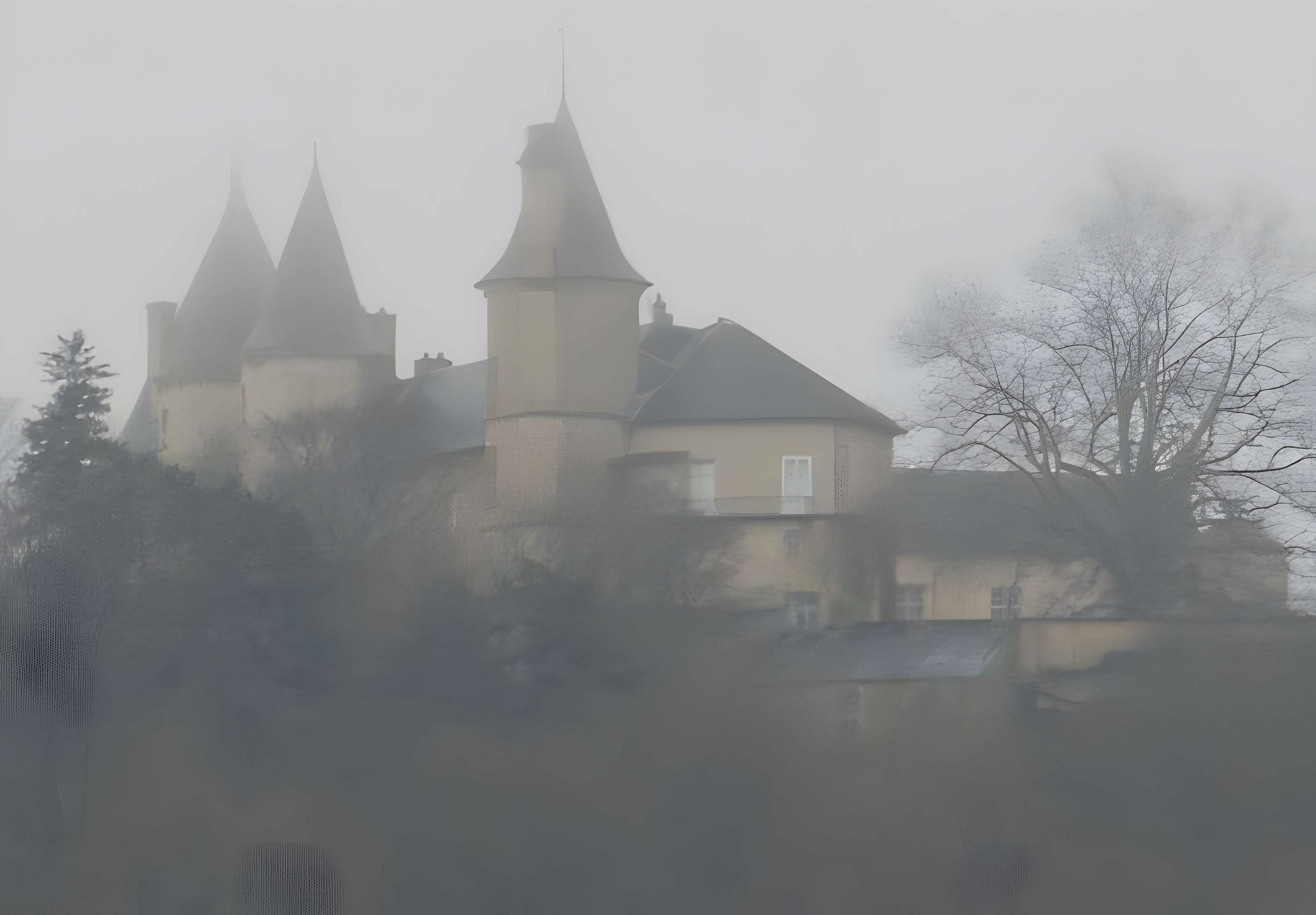 Château de Bourlémont