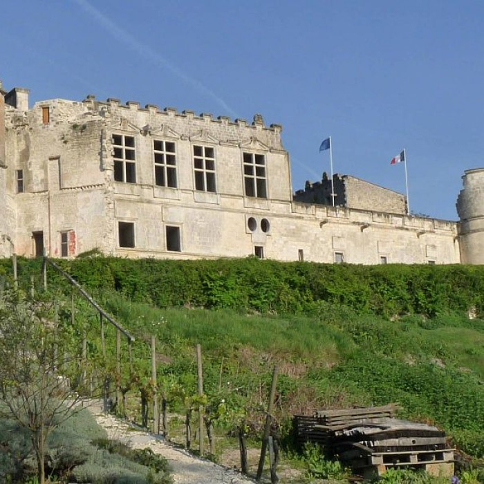 Photo de Château de Bouteville