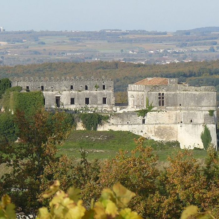 Photo de Château de Bouteville