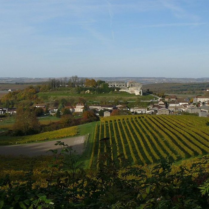Photo de Château de Bouteville