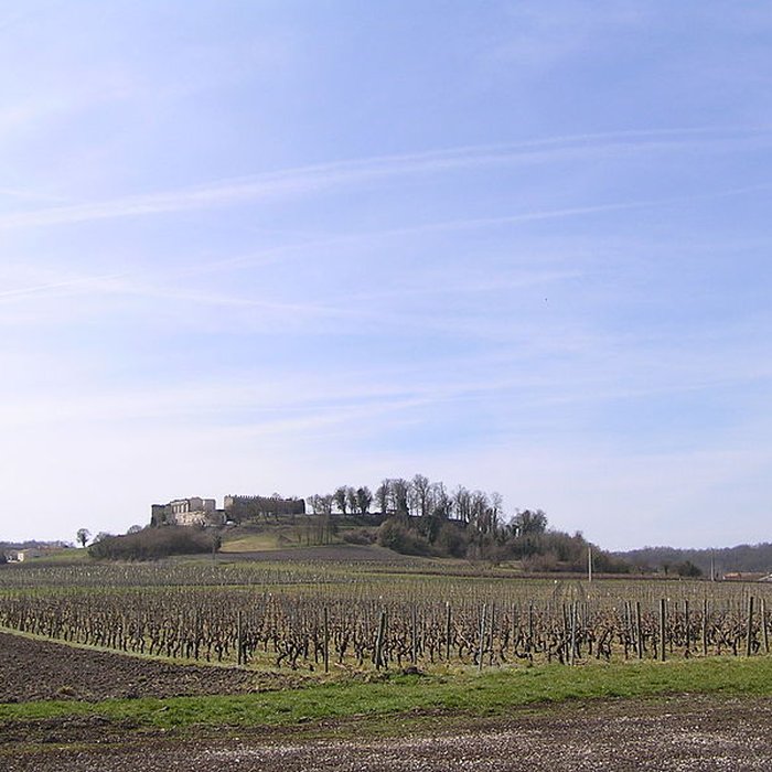 Photo de Château de Bouteville
