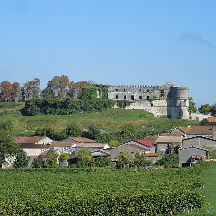 Photo de Château de Bouteville