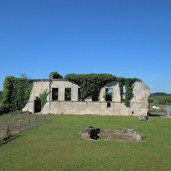 Photo de Château de Bouteville