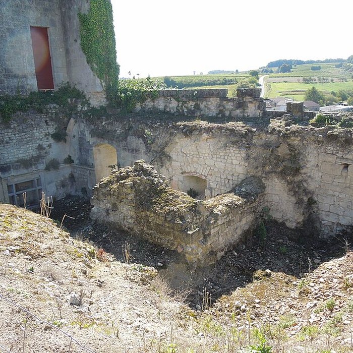 Photo de Château de Bouteville