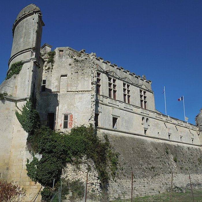 Photo de Château de Bouteville