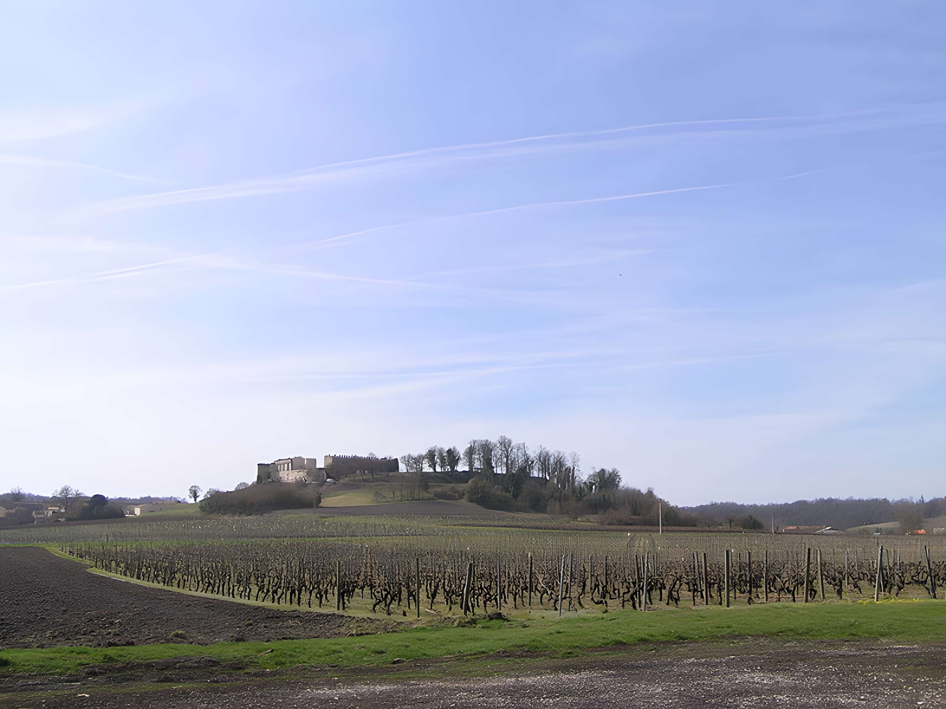 Château de Bouteville