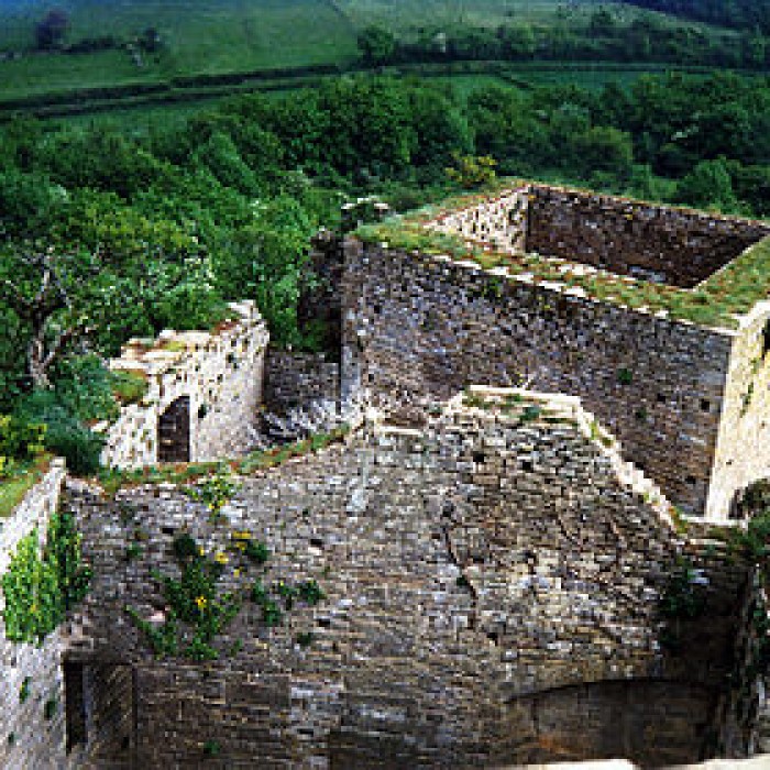 Photo de Château de Brancion