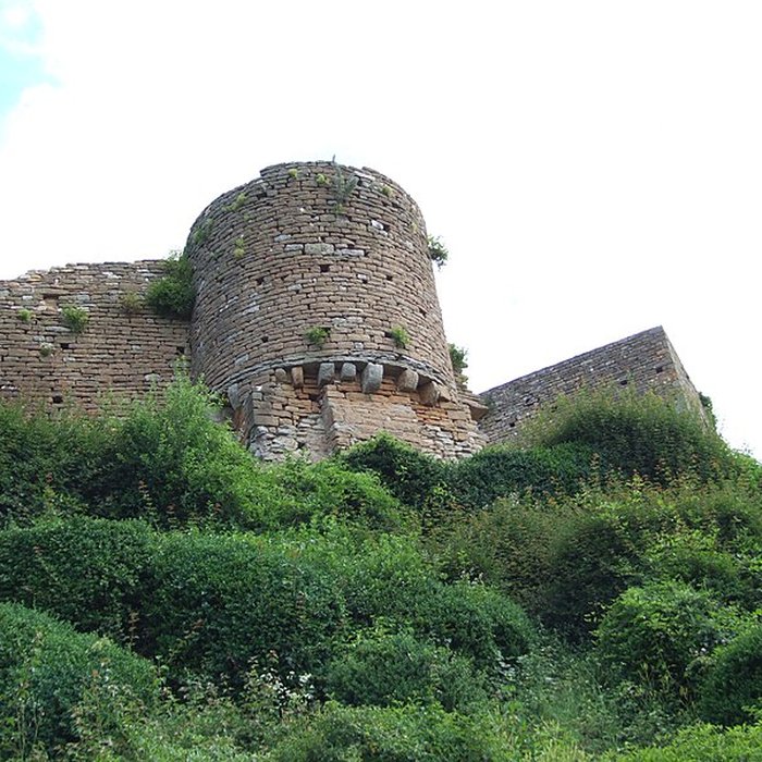 Photo de Château de Brancion