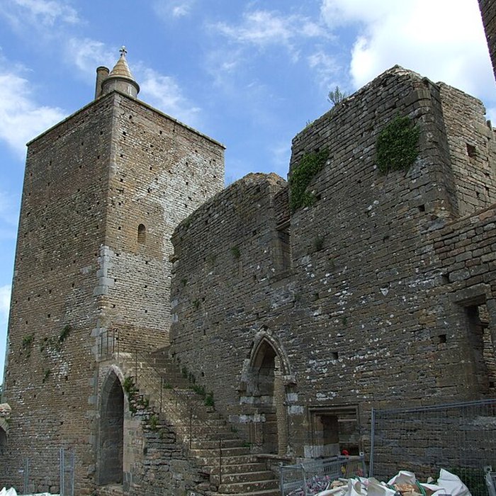 Photo de Château de Brancion