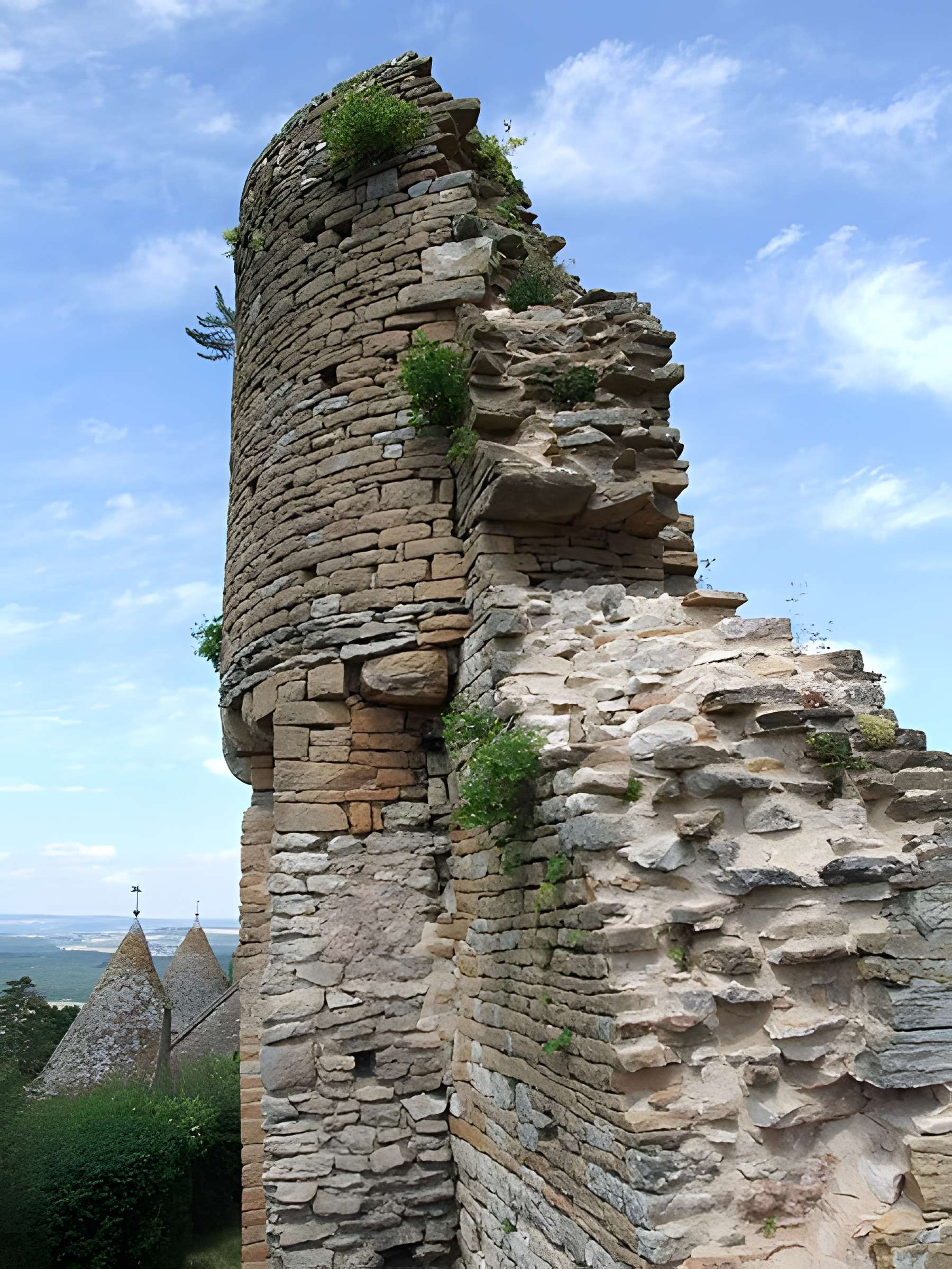 Château de Brancion