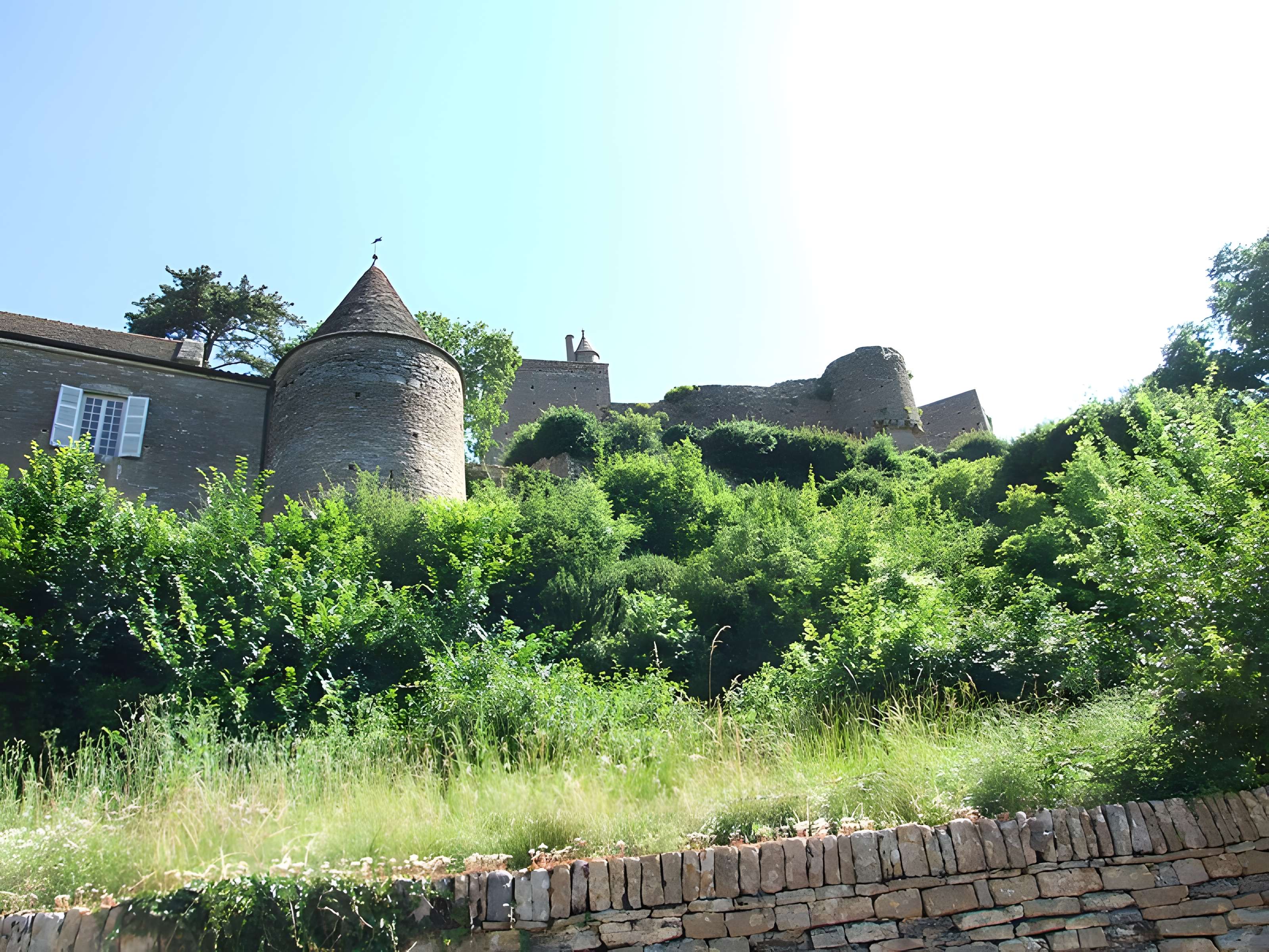 Château de Brancion